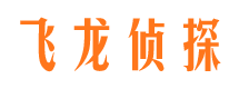 正蓝旗侦探公司